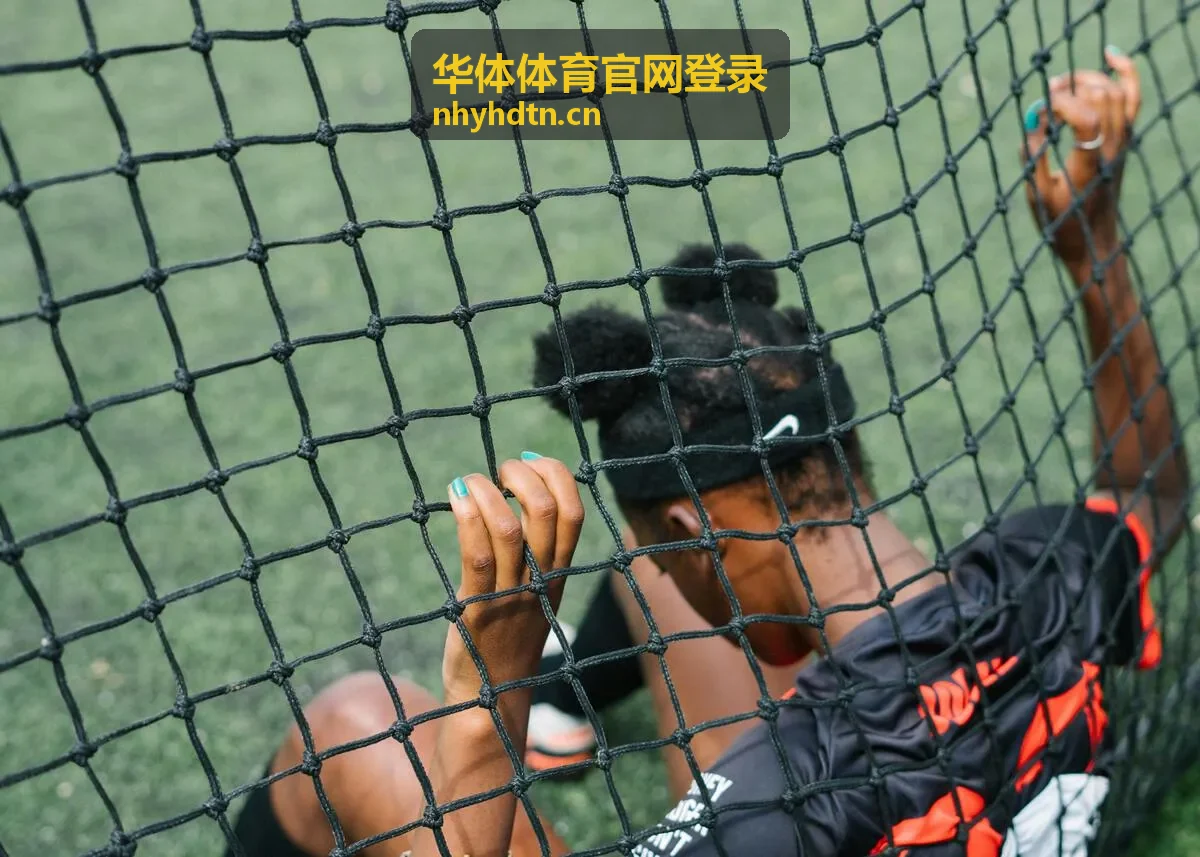 华体体育官网登录 操作流程示意画面